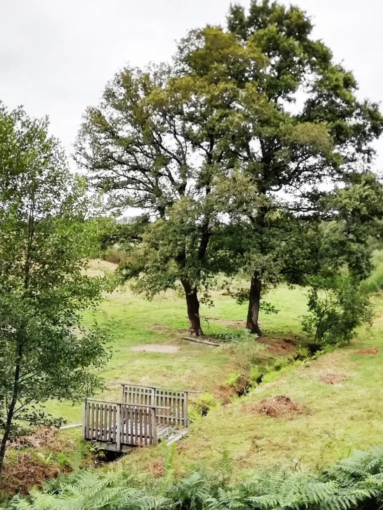 Petit pont de bois et les deux chênes de Saint-Kinède