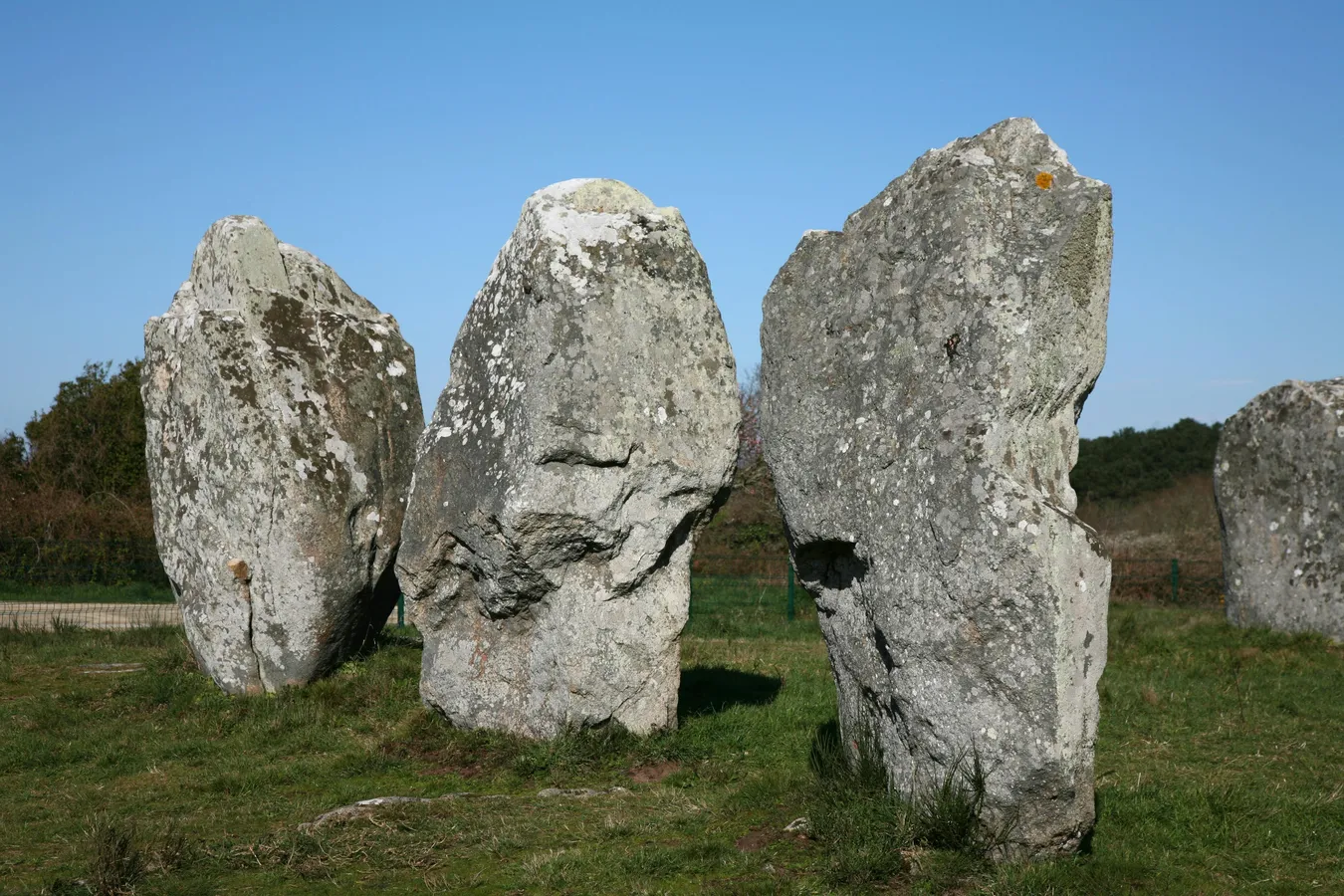 Mégalithes à Carnac